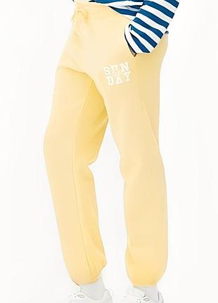 Трикотажные теплые с начесом спортивные штаны батал primark 💜❄️💜