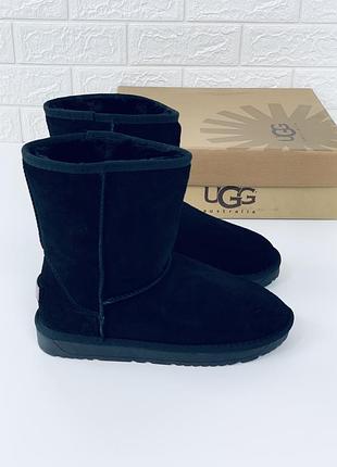Угги мужские женские высокие угг замш ugg чоловічі жіночі уггі угі