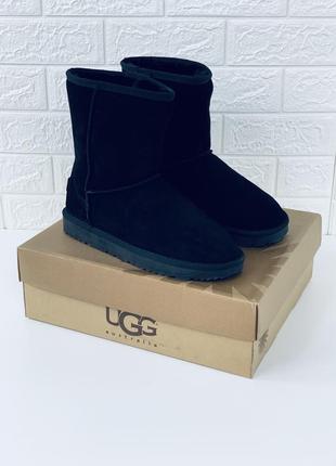 Угги мужские женские высокие угг замш ugg чоловічі жіночі уггі угі3 фото