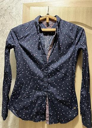 Сорочки жіночі tommy hilfiger та gant три сорочки