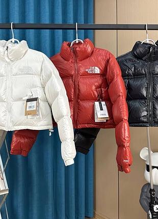 Пуховик натуральний  tnf