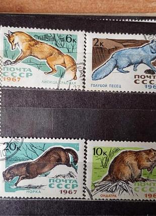 Марки - пушные животные. почта ссср 1967 год.