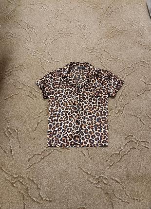 Кофта, кофточка леопард домашня