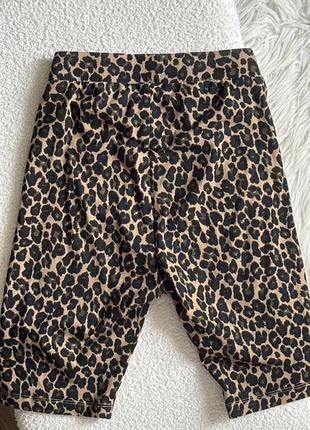 Велосипедки 2