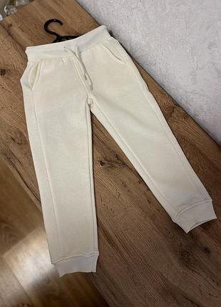 Утеплені спортивні штани