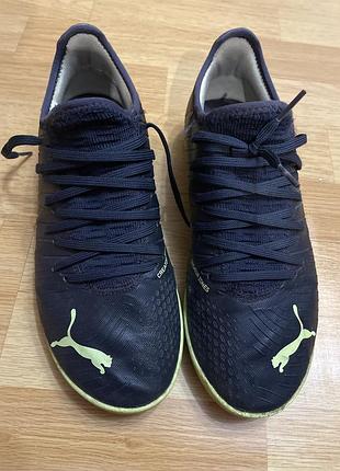 Сороканіжки puma