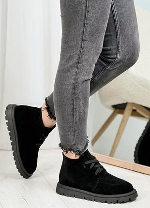 Жіночі замшеві черевики на шнурках