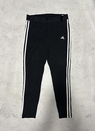 Лосини жіночі adidas , l