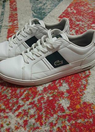 Кросівки чоловічі lacoste