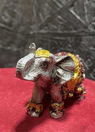 Слоник індійський, уцінка 6