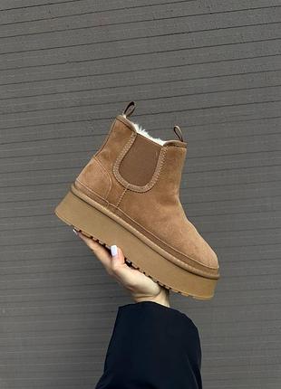 Уггі жіночі 41р