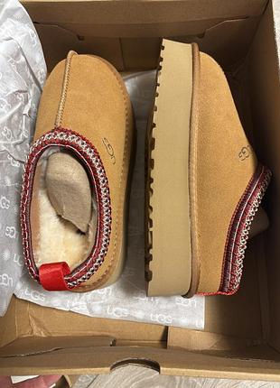 Угги ugg tazz