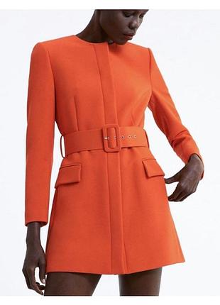 Zara, плаття, сукня, платье, пиджак