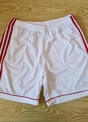Шорти чоловічі adidas розмір l original