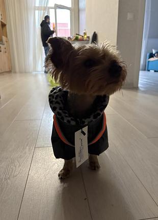 Комбінезон зимовий для собак indigo m-чорний