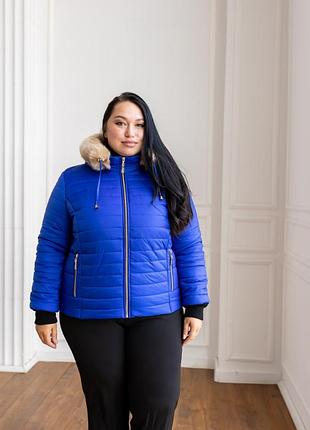 Женская стеганая короткая куртка еврозима с капюшоном "di" код 12д3