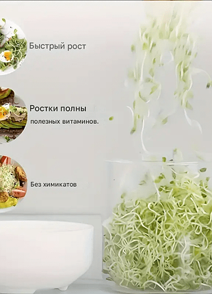 Настольный проращиватель микрозелени 9