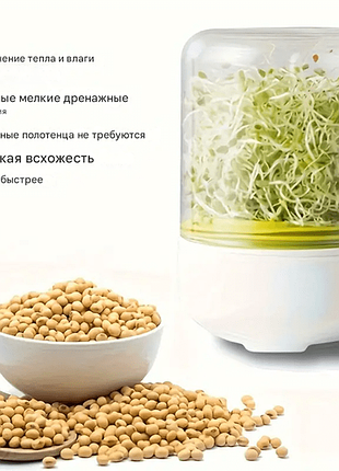 Настольный проращиватель микрозелени 10
