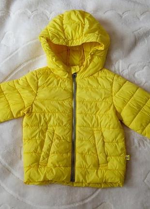 Курточка куртка