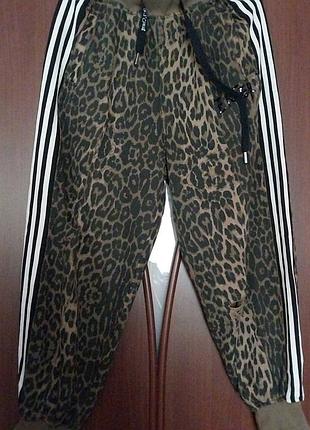 Джогери стильні