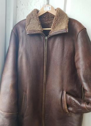 Дублянка чоловіча чехія