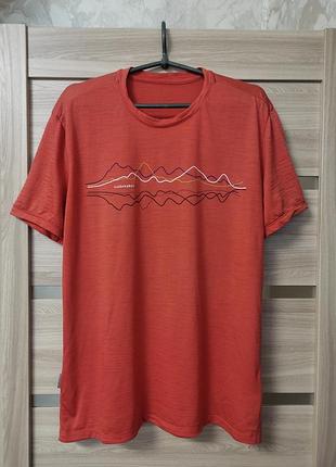 Термобелье icebreaker