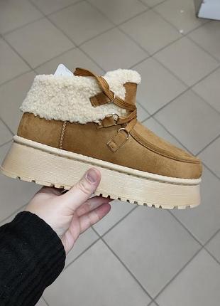 Черевики жіночі стильні тренд