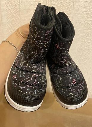 Чобітки зимові