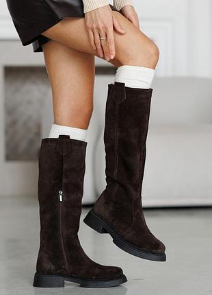 Жіночі зимові, натуральні чоботи на байці з хутром. замша, коричневий, 36-41р