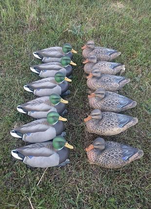 Комплект чучела greenhead gear essential series av70100 12 шт.