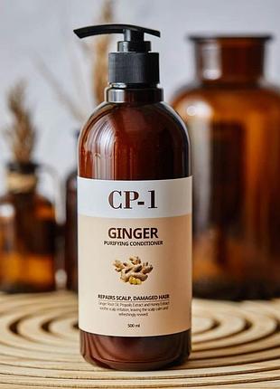 Кондиционер для волос esthetic house cp-1 ginger purifying conditioner 500 мл