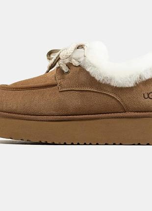 Уггі ugg funkarra / smb+ 🔗