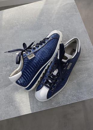 Преміальні кросівки harris firenze 2892 made in italy