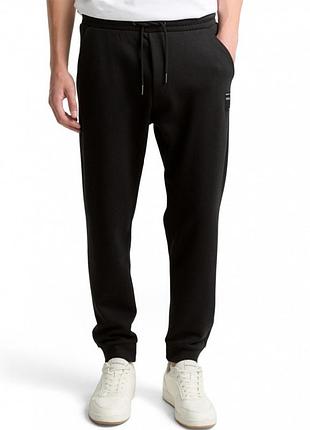 Чоловічі спортивні штани, джогери утеплені tom tailor