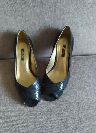 Черевики tall ecco