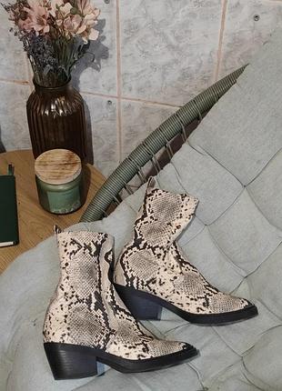 Чоботи sockboots з принтом зміїна шкіра river island