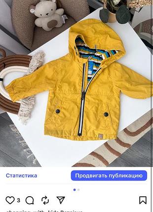 Ветрівка жовта