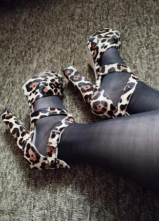 Лабутены леопард 38 размер