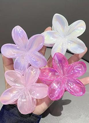 Заколки для волосся