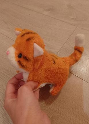 Котик ходе и может пищать