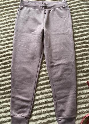 Теплі спортивні штани з начосом