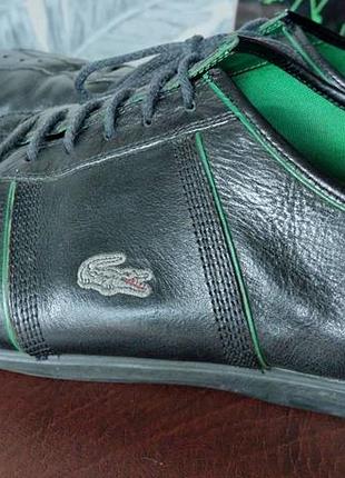 Мужские кеды lacoste