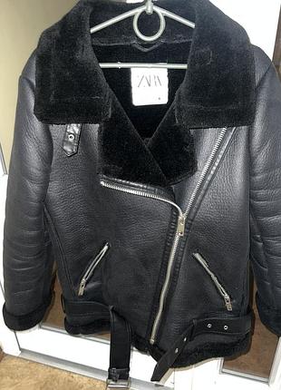 Дублянка зимова