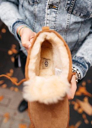 Ugg neumel chestnut уггі уггі черевики черевики9 фото