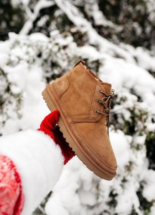 Ugg neumel chestnut угги уггі черевики ботинки