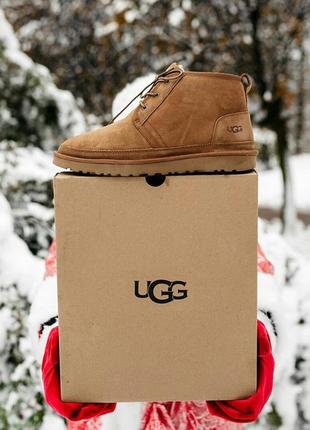 Ugg neumel chestnut угги уггі черевики ботинки9 фото