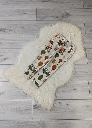 Теплые спортивные штаны на 5-6 лет