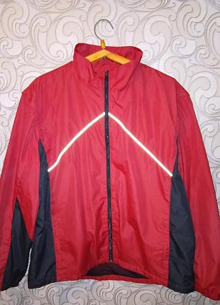 Вітровка чоловіча