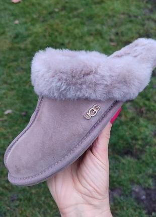 Тапулі ugg оригінал