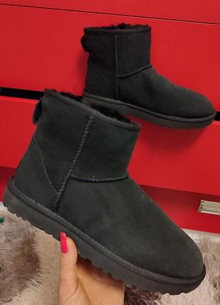 Уги ugg mini